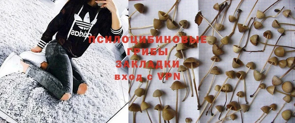 PSILOCYBIN Осташков