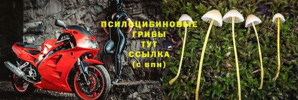 соль ск Абинск